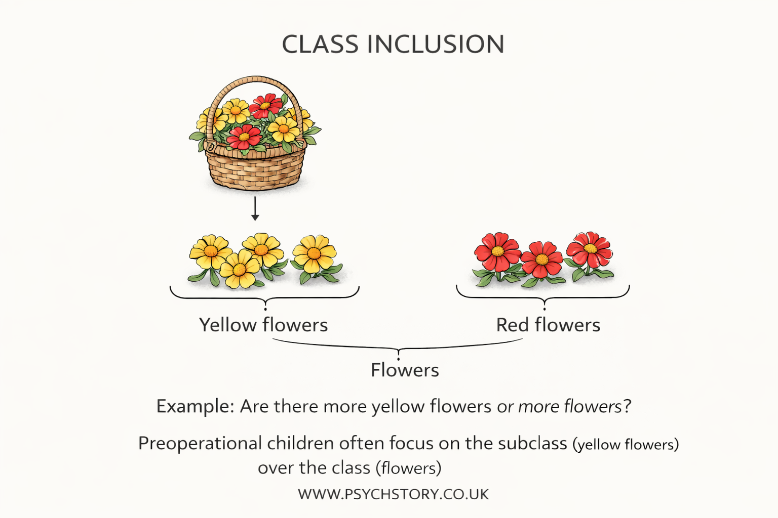 CLASS INCLUSION