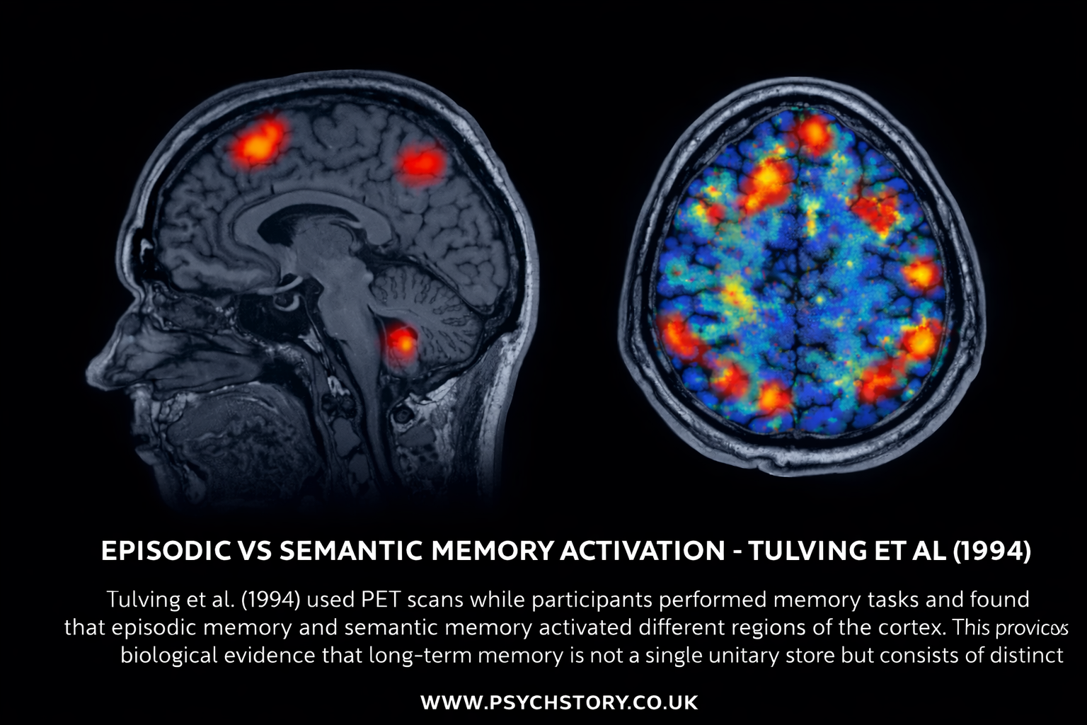 TULVING: EPISODIC VERSUS SEMATIC MEMORY