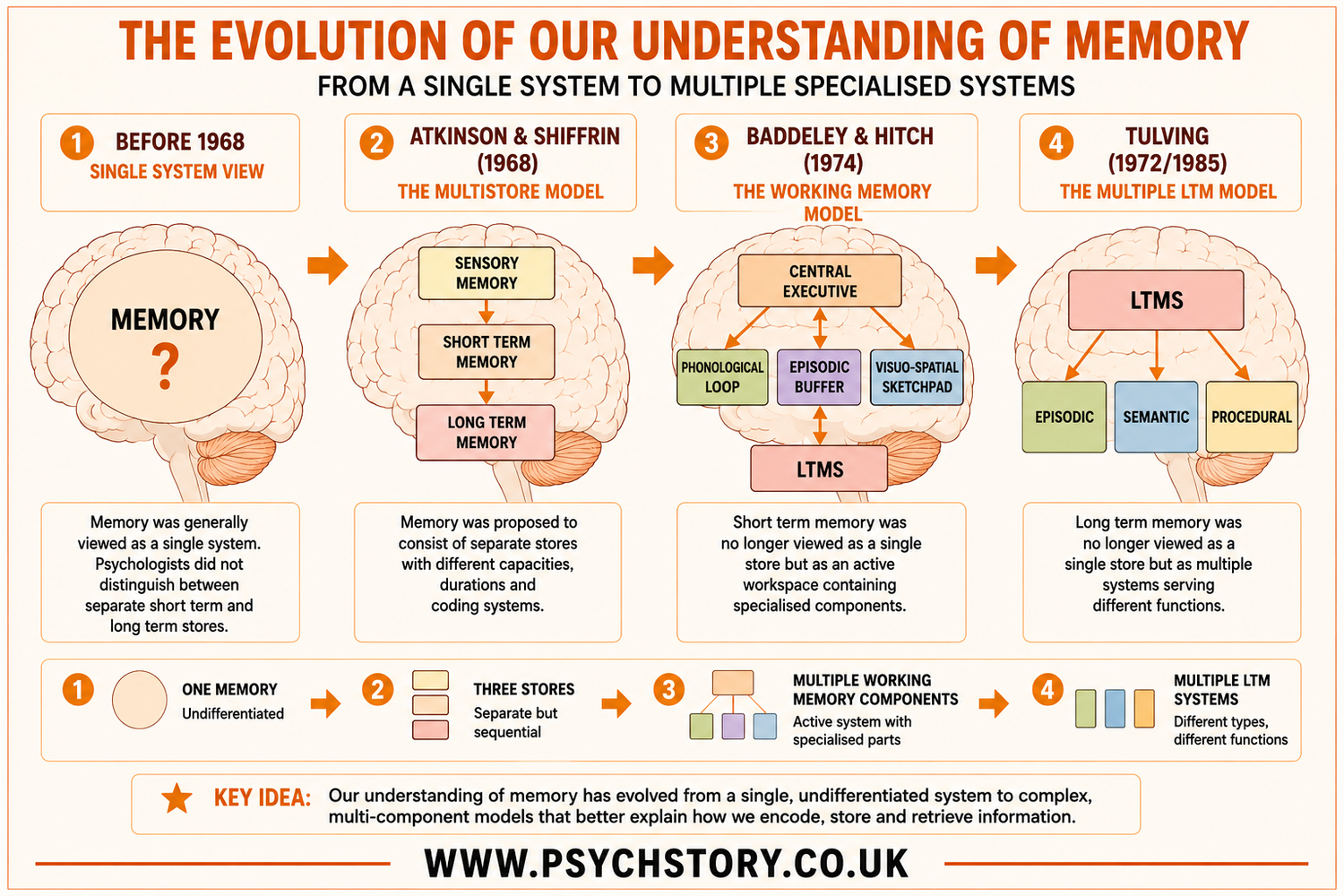 Comprehensive Memory Model THE WORKING MODEL OF MEMORY — MEMORY | Enhance Memory Skills Today ...