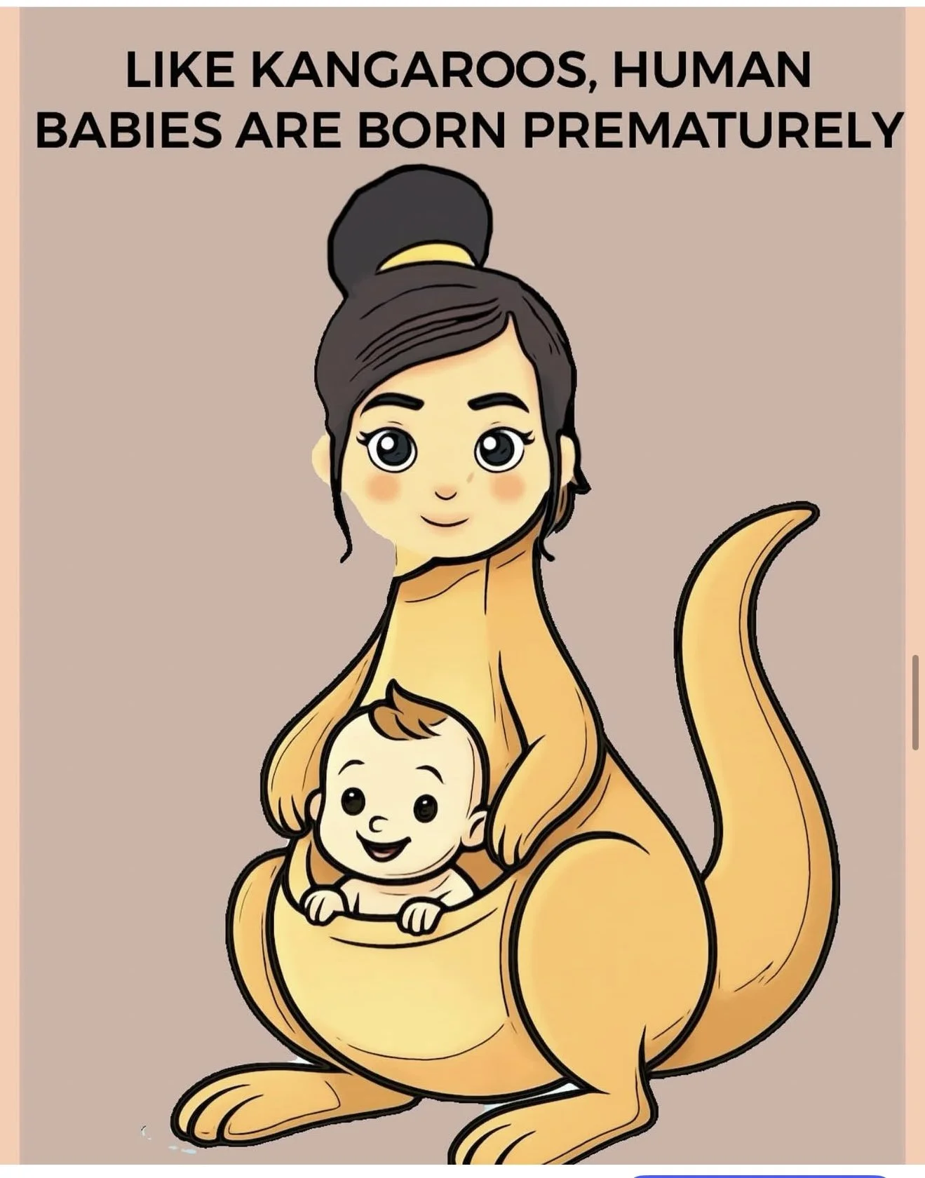 All human babies are  born prematurely