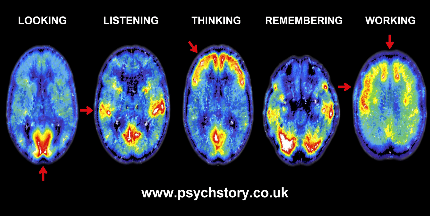 SCANS LTM AND STM DIFFERENCE