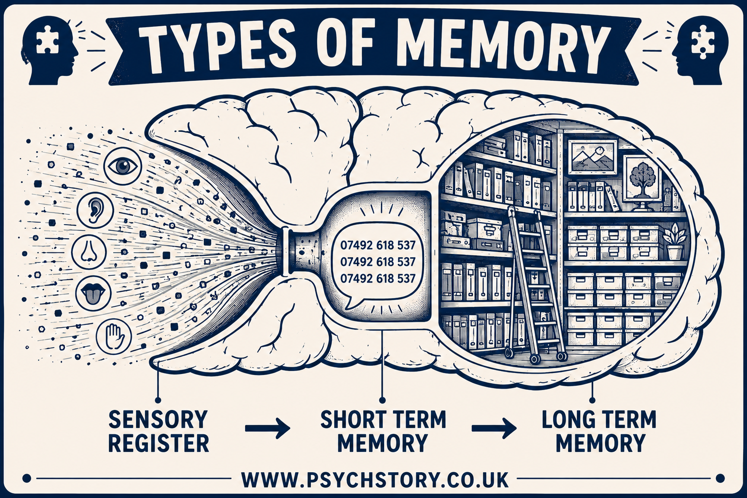 TYPES OF MEMORY THE SENSORY REGISTER STM AND LTM