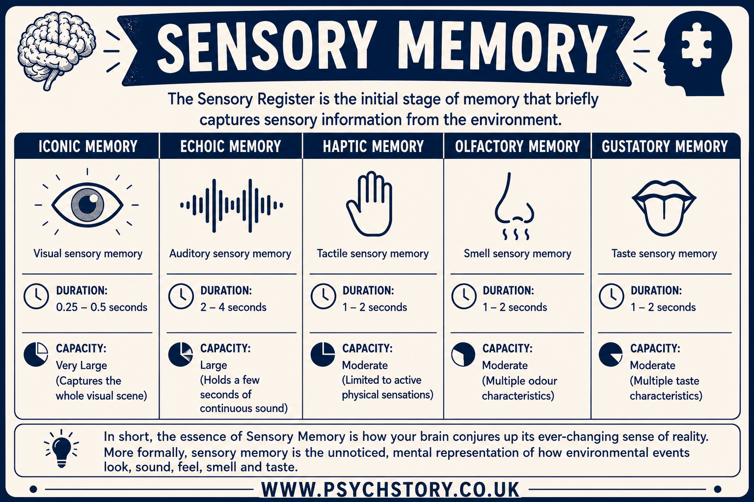 THE SENSORY REGISTER
