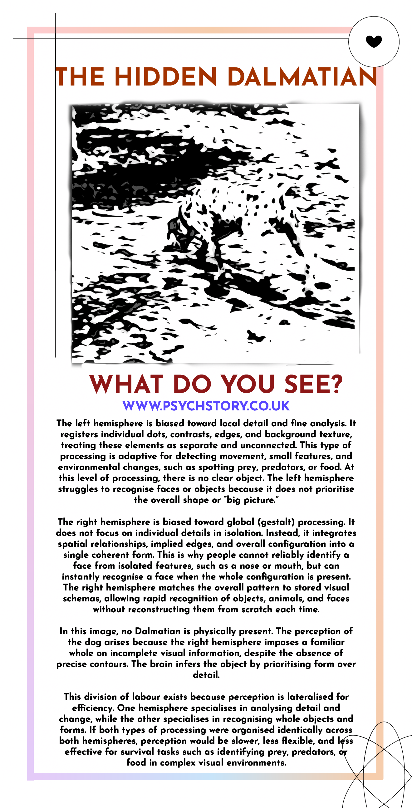 THE HIDDEN DALMATIAN VISUAL LATERALISATION