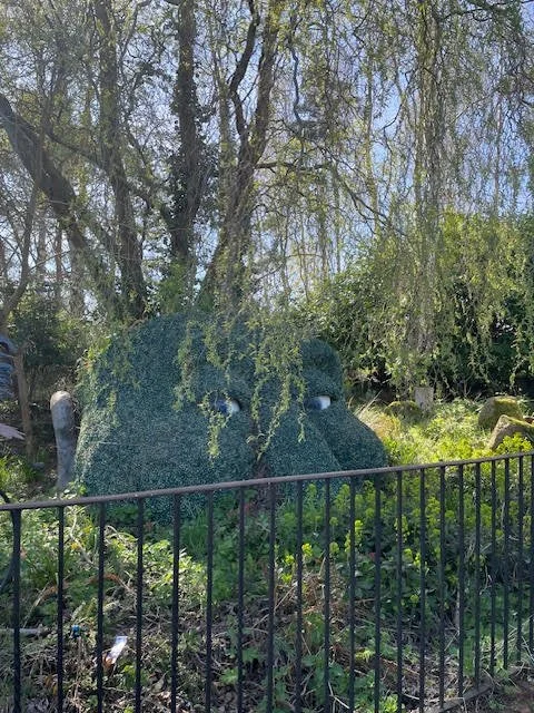 birthday reflections