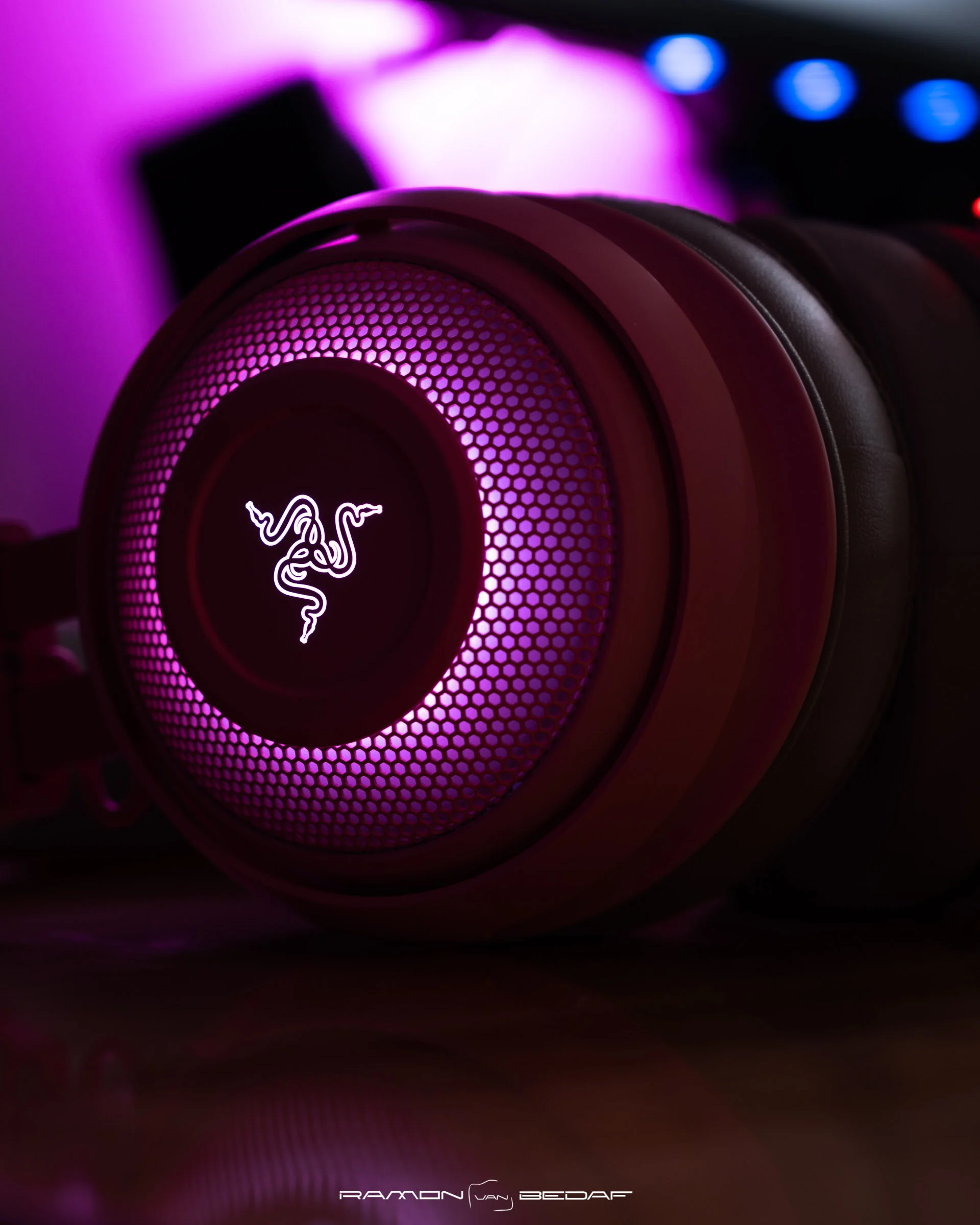 DSC_2453 - Ramon van Bedaf Photography ©.jpg