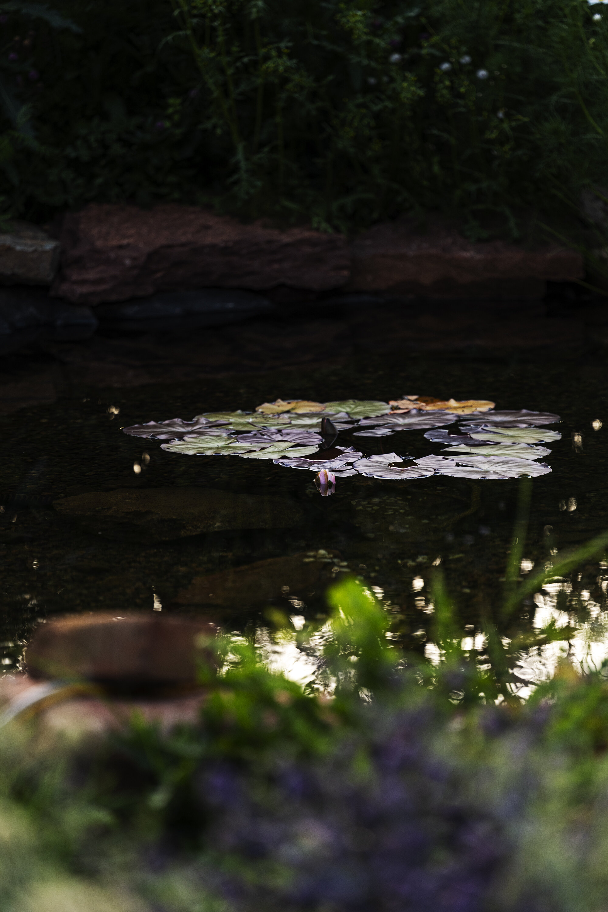 L1000646.jpg