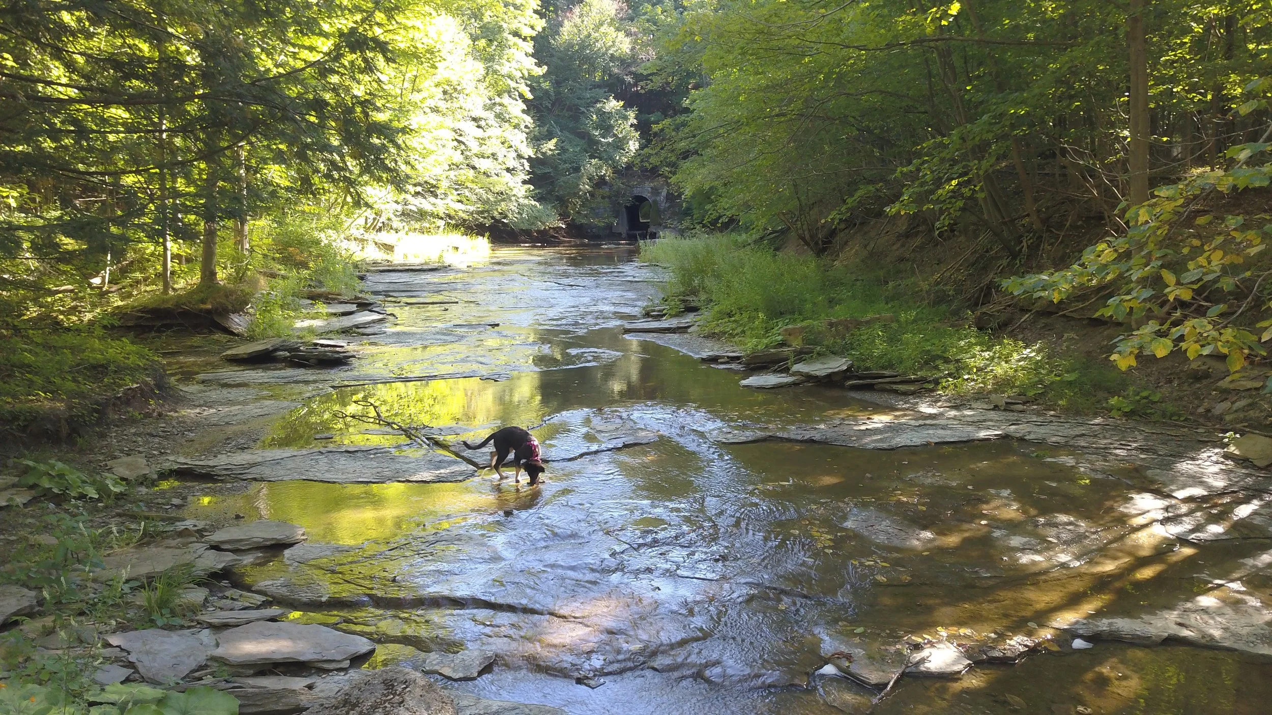 DJI_0129.JPG