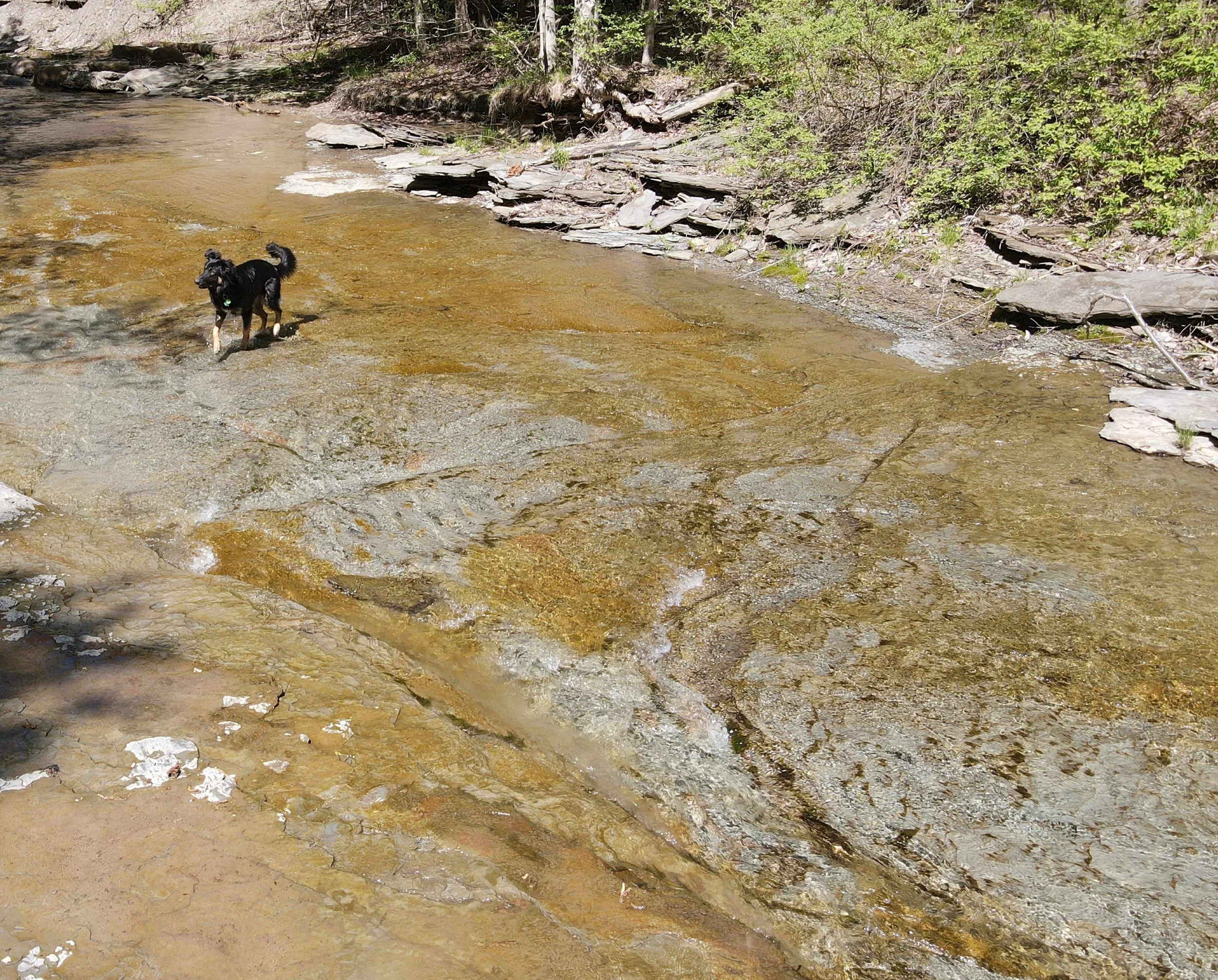 DJI_0408.JPG