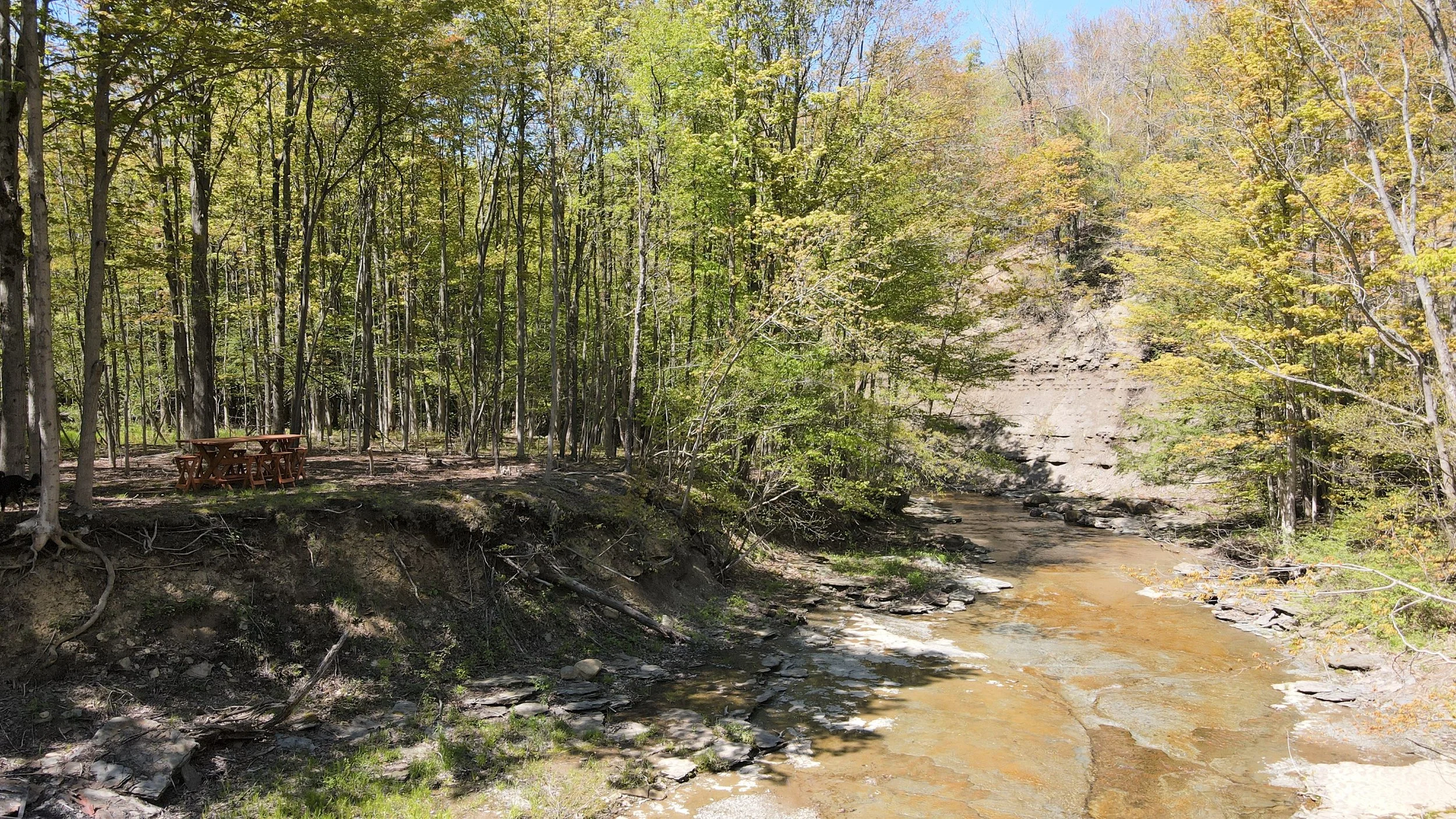 DJI_0380.JPG