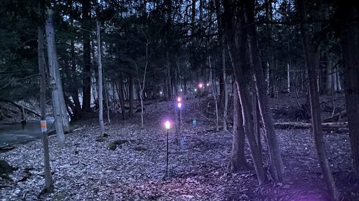 250318_path-lights.jpg