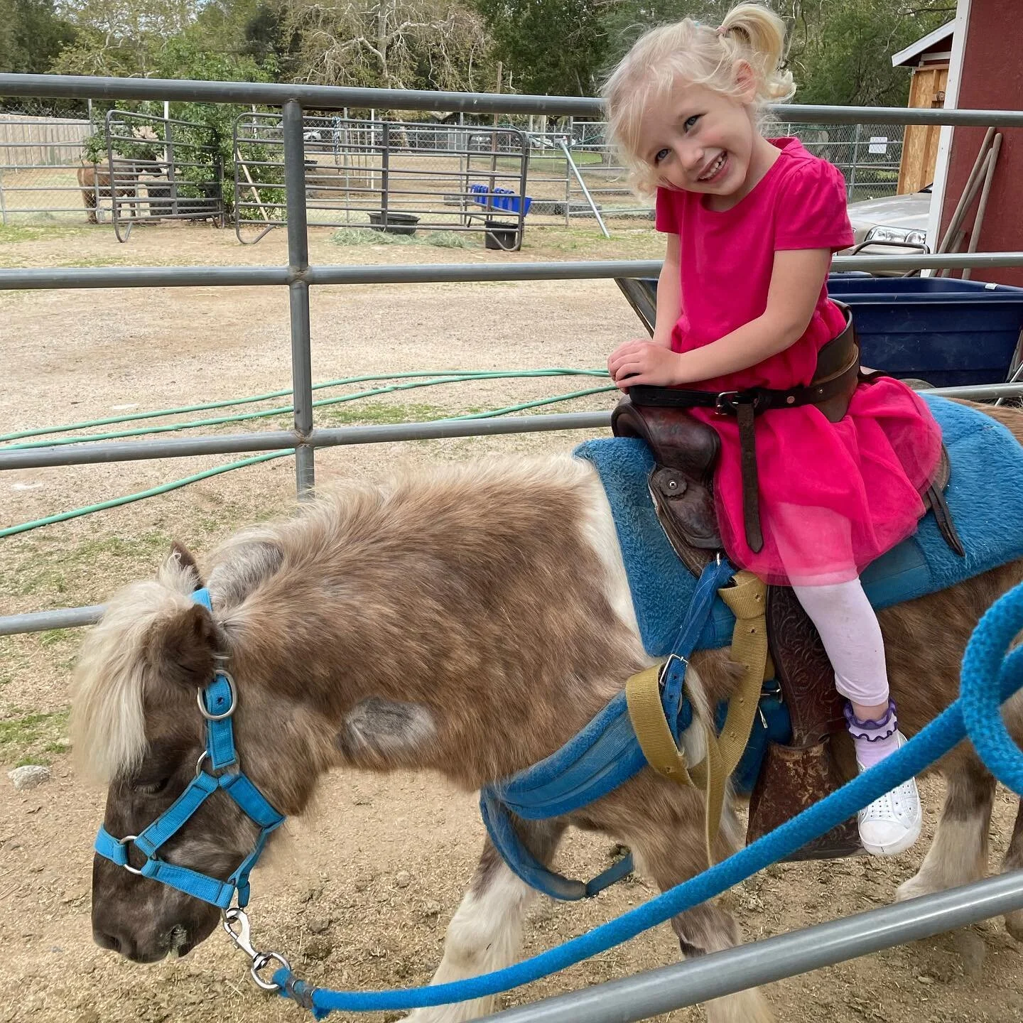 Darla is FOUR! A year ago today, we felt kind of crazy about cancelling her birthday party because we all had no idea what was about to hit us. I&rsquo;m so grateful that this past week we could go all out to celebrate this sweet girl with our family