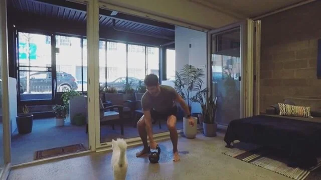 Beginner, intermediate, and advanced kettlebell flows (swipe ➡️) Don&rsquo;t mind Franky 😹

Flow 1:
Hang squat
Clean
Swing
3x each side, alternating sides
5 rounds, 1 minute break between rounds

Flow 2:
Rows x3
Cleans x3
Swings x3
Overhead press x3