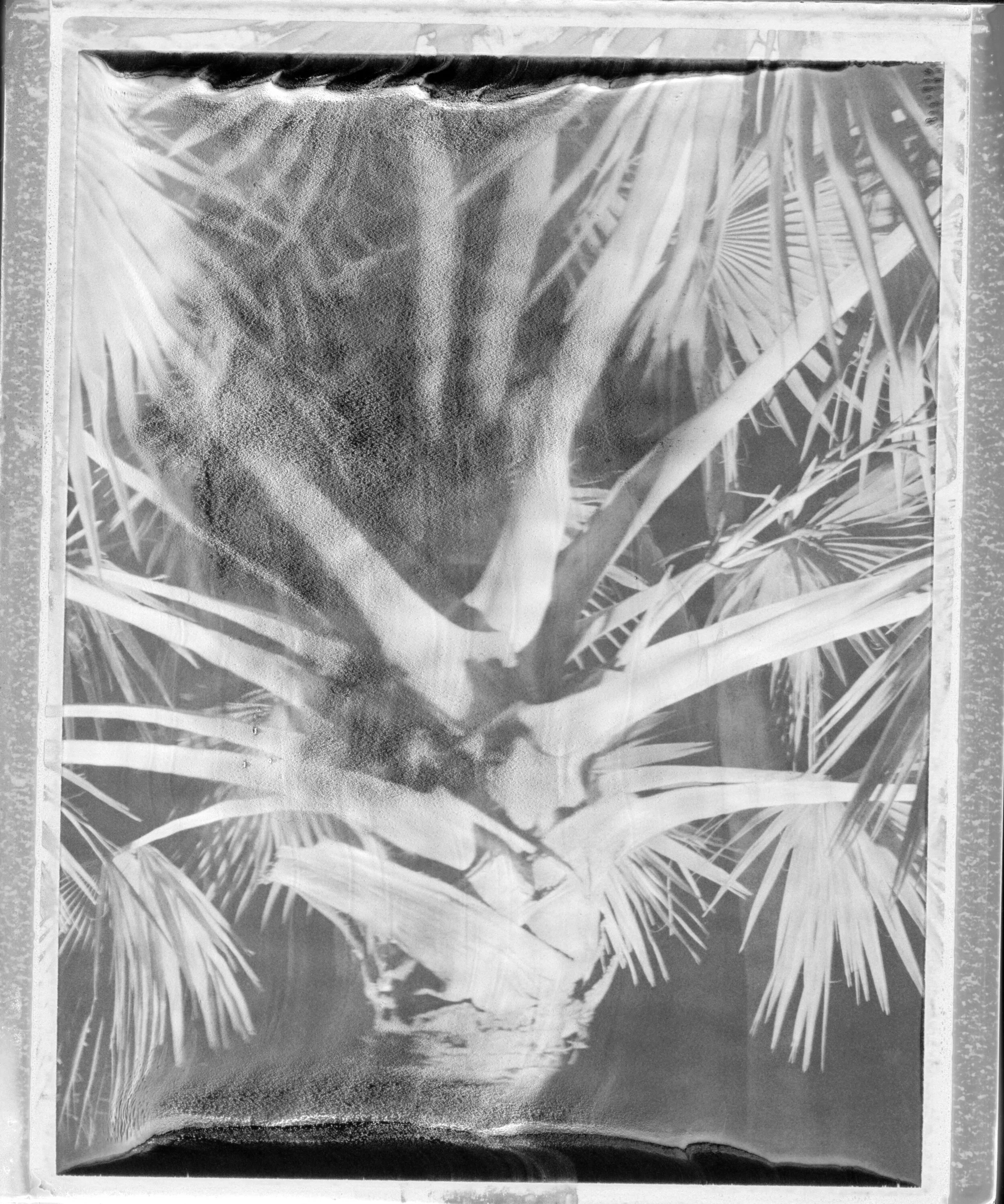 Jpeg04-19-20HOT MESS.jpeg