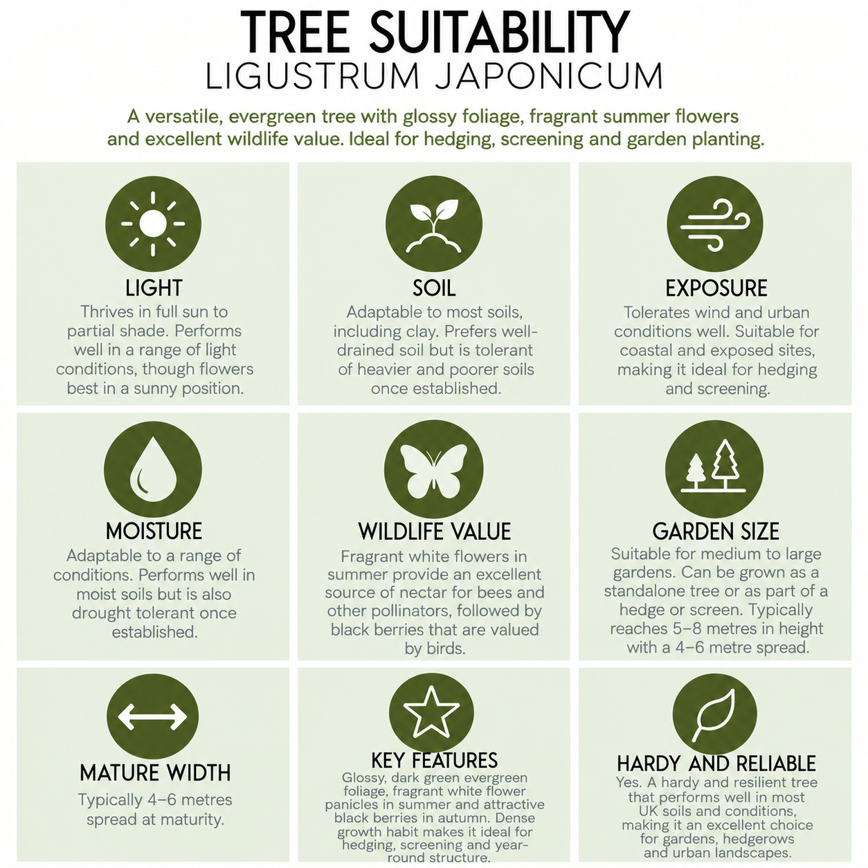 Tree Suitability_ Ligustrum Japonicum.png