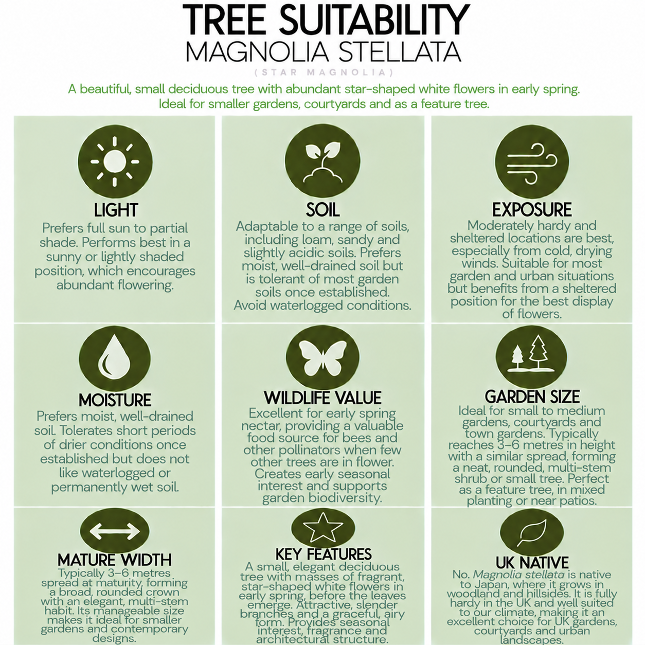 tree-suitability-guide-magnolia-stellata.png