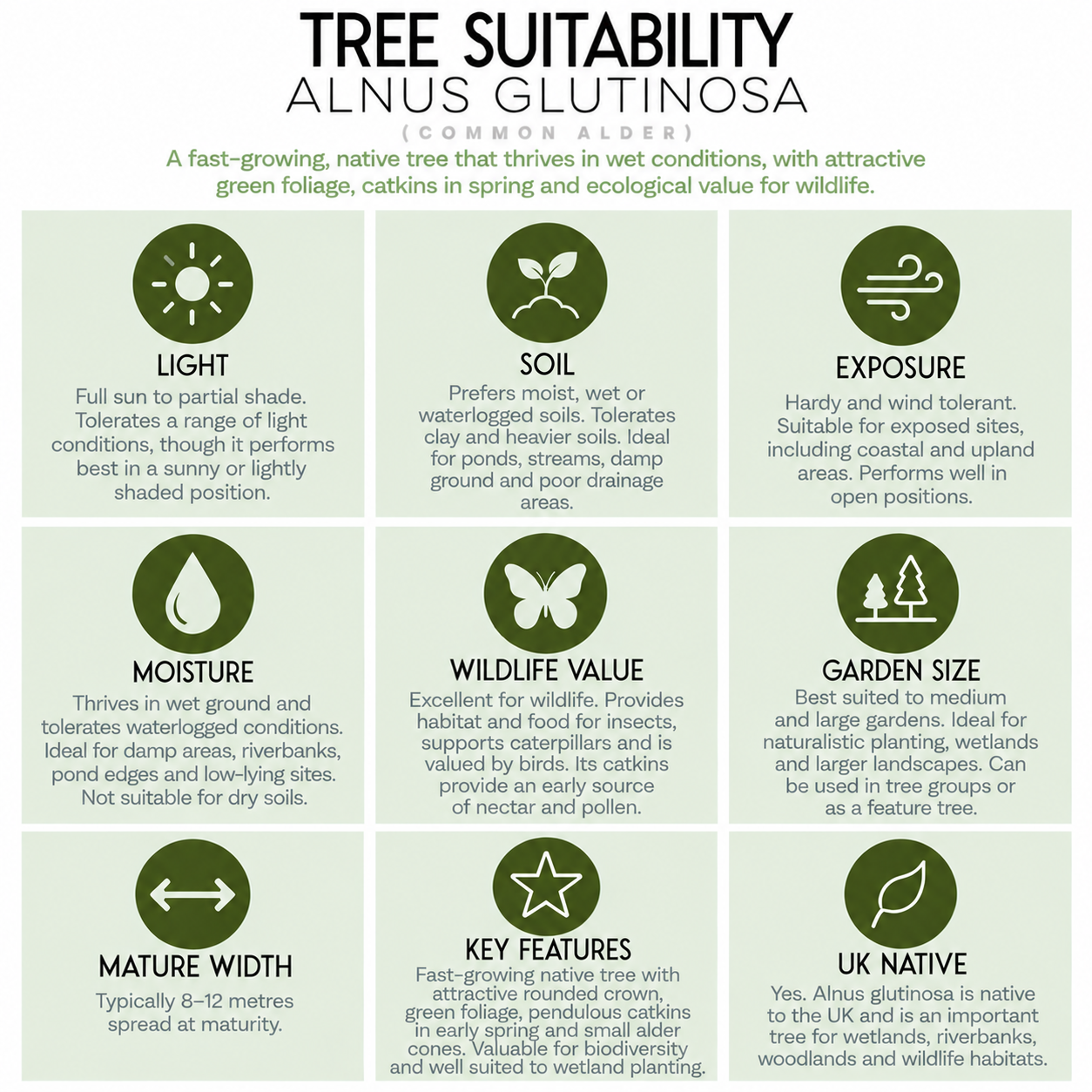 tree-suitability-guide-alnus-glutinosa.png