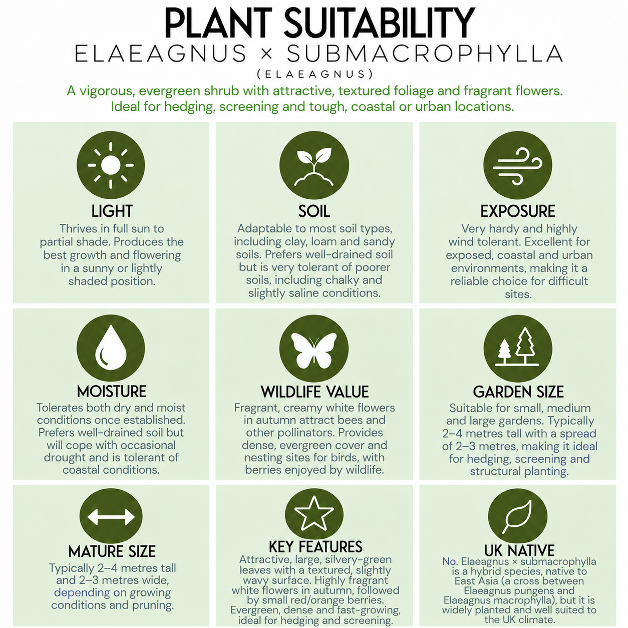 tree-suitability-guide-elaeagnus-x-submacrophylla Guide.png