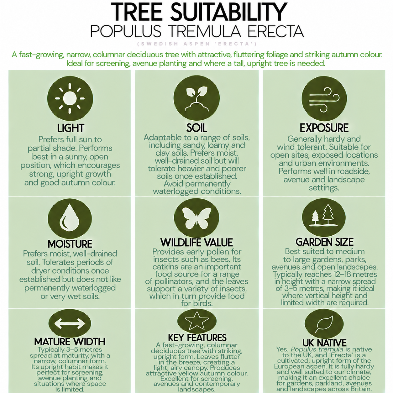 tree-suitability-guide-populus-tremula-erecta.png