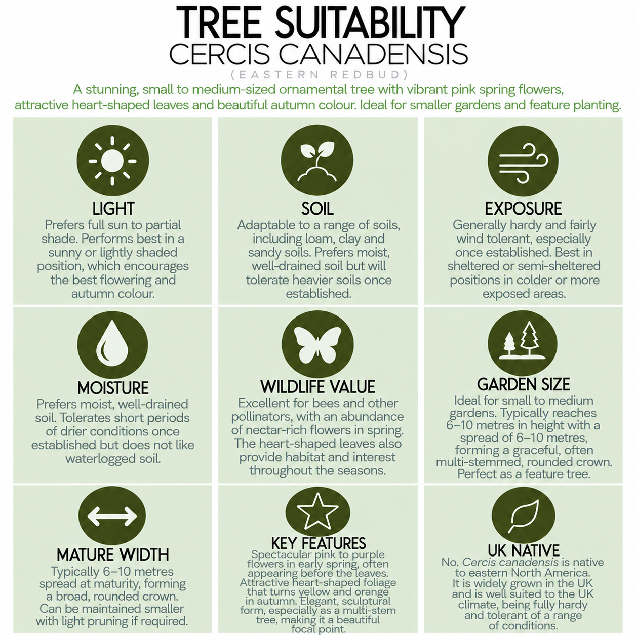 tree-suitability-guide-cersis-candensis.png