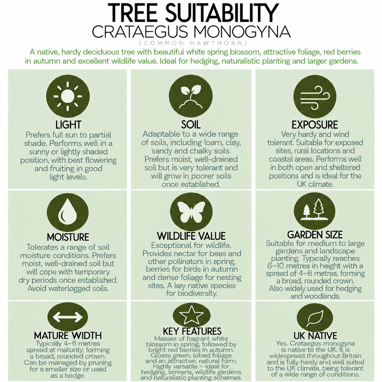 tree-suitability-guide-crataegus-monogyna.png
