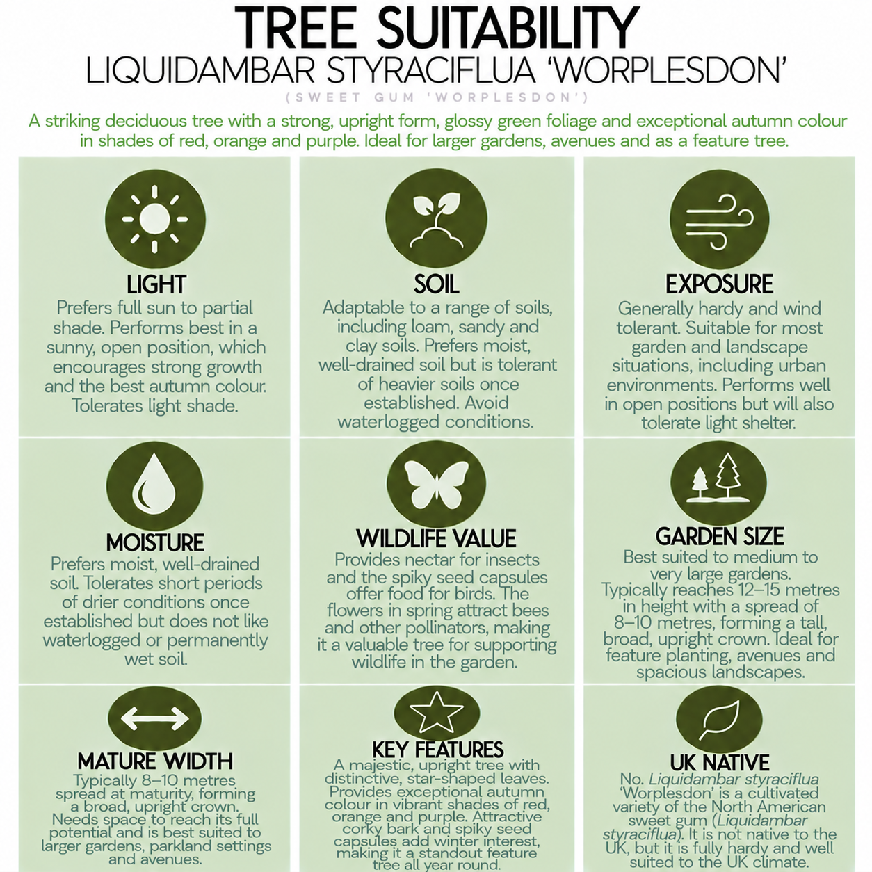tree-suitability-guide-liquidambar-worplesdon.png