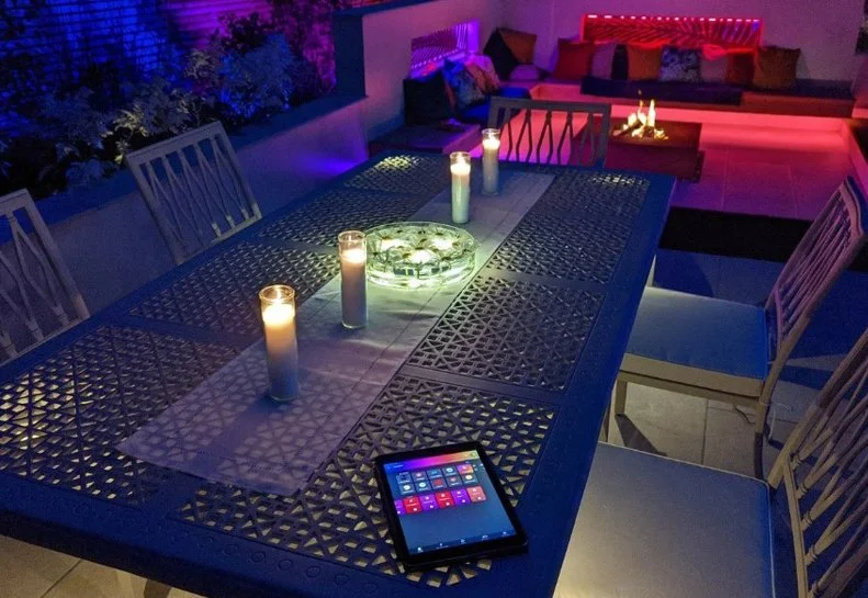 Christmas Garden Lights in Manchester
