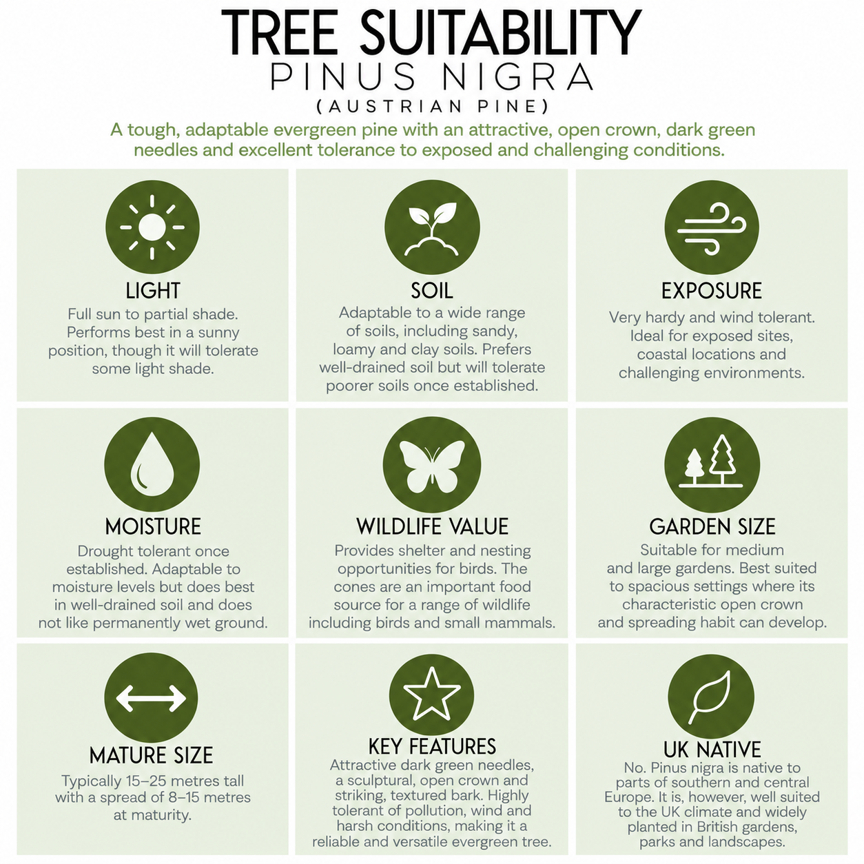 tree-suitability-guide-ponis-nigra.png