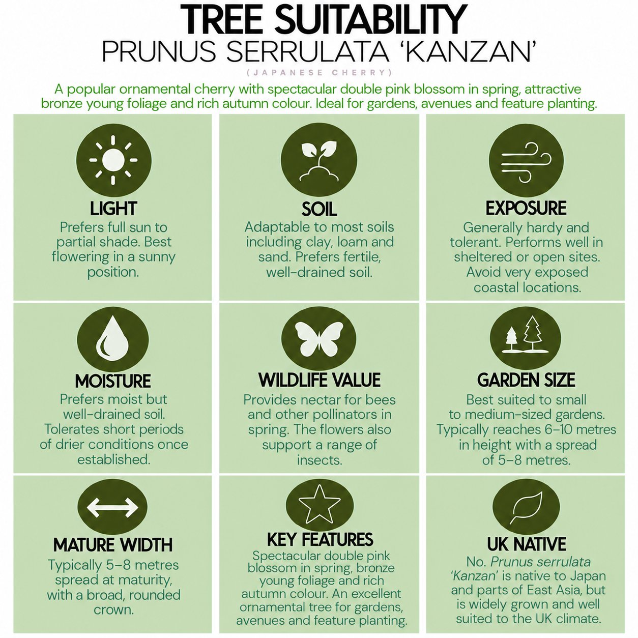 tree-suitability-guide-prunus serrulata-kanzan.png