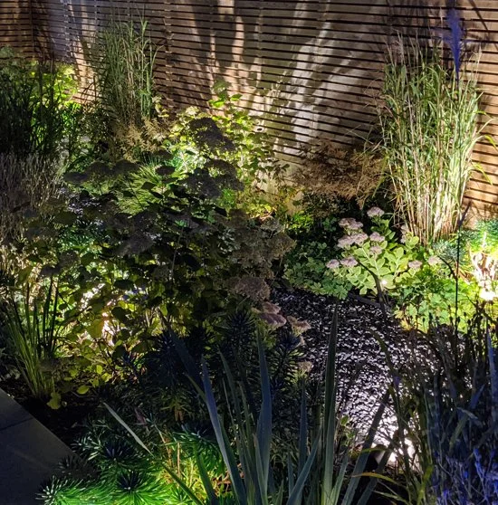 Evening Garden Lighting In The Ribble Valley