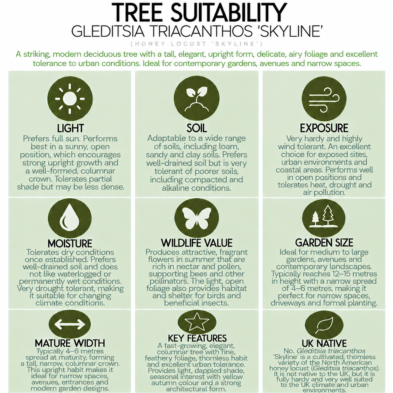 tree-suitability-guide-gleditsia-triacanthos-skyline.png