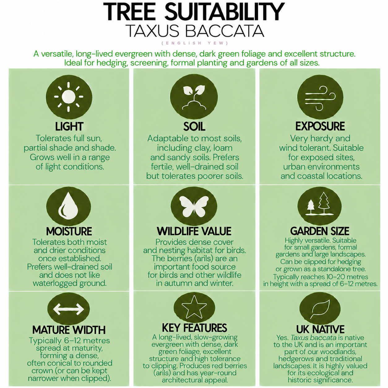 tree-suitability-guide-taxus-baccata.png