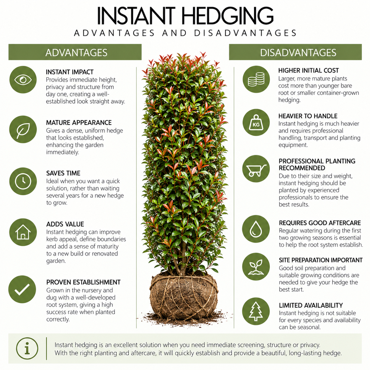instant-hedging-pros-and-conss.png