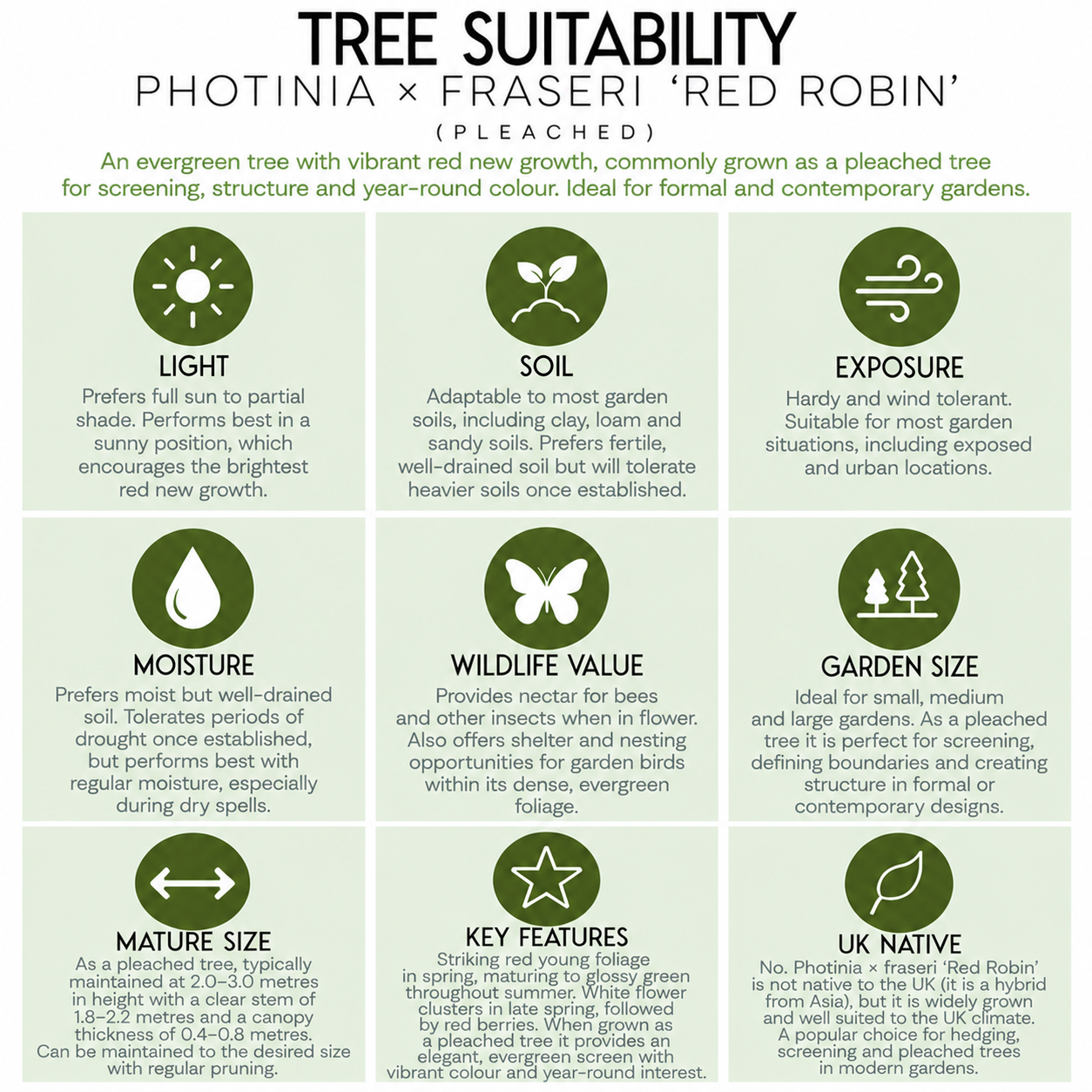 tree-suitability-guide-photinia-red-robin.png