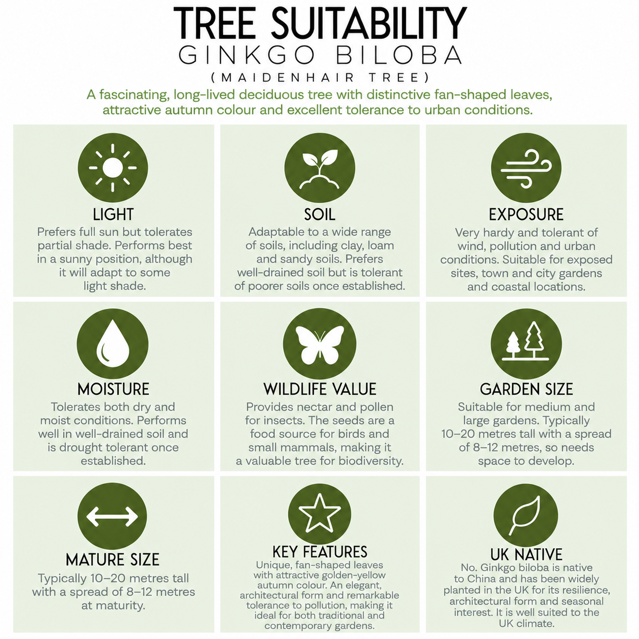 Ginkgo Biloba Tree Suitability Guide.png