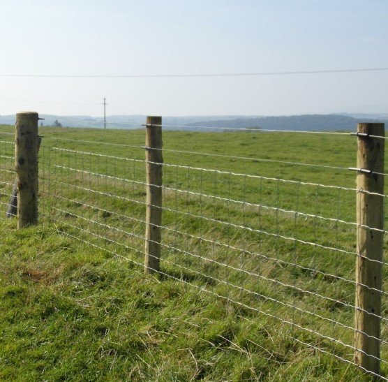 Stock fencing for hedging