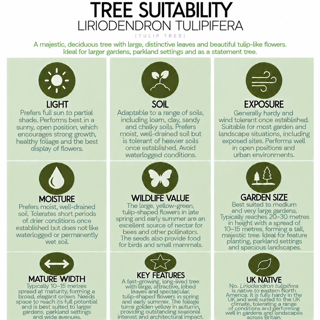tree-suitability-guide-liriodendron-tulipifera.png