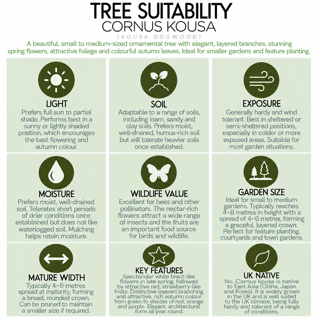 tree-suitability-guide-cornus-kousa.png