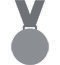 Silver medal on a ribbon
