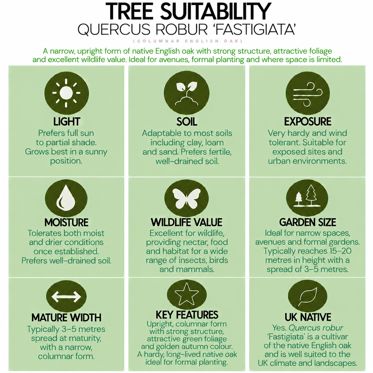 tree-suitability-guide-quercus-robor-fastigiata.png