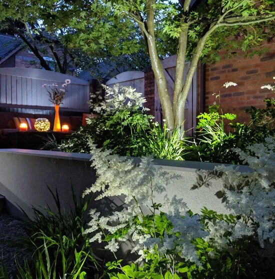 Tree lighting installer The Ribble Valley