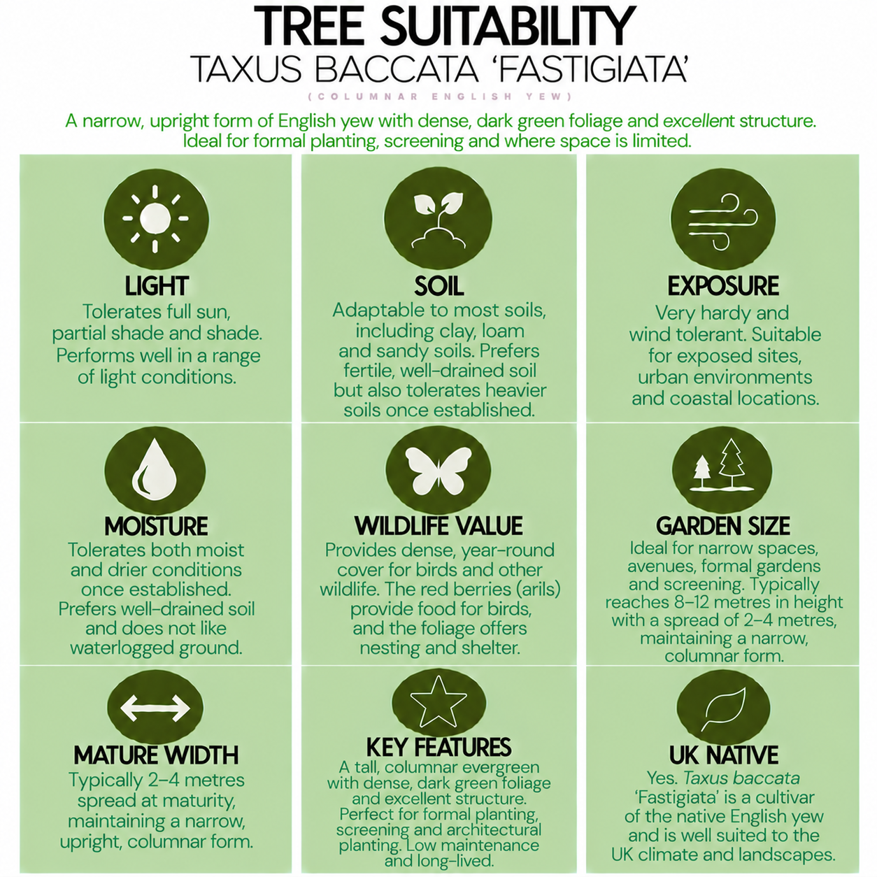 tree-suitability-guide-taxus-baccata-fastigiata.png