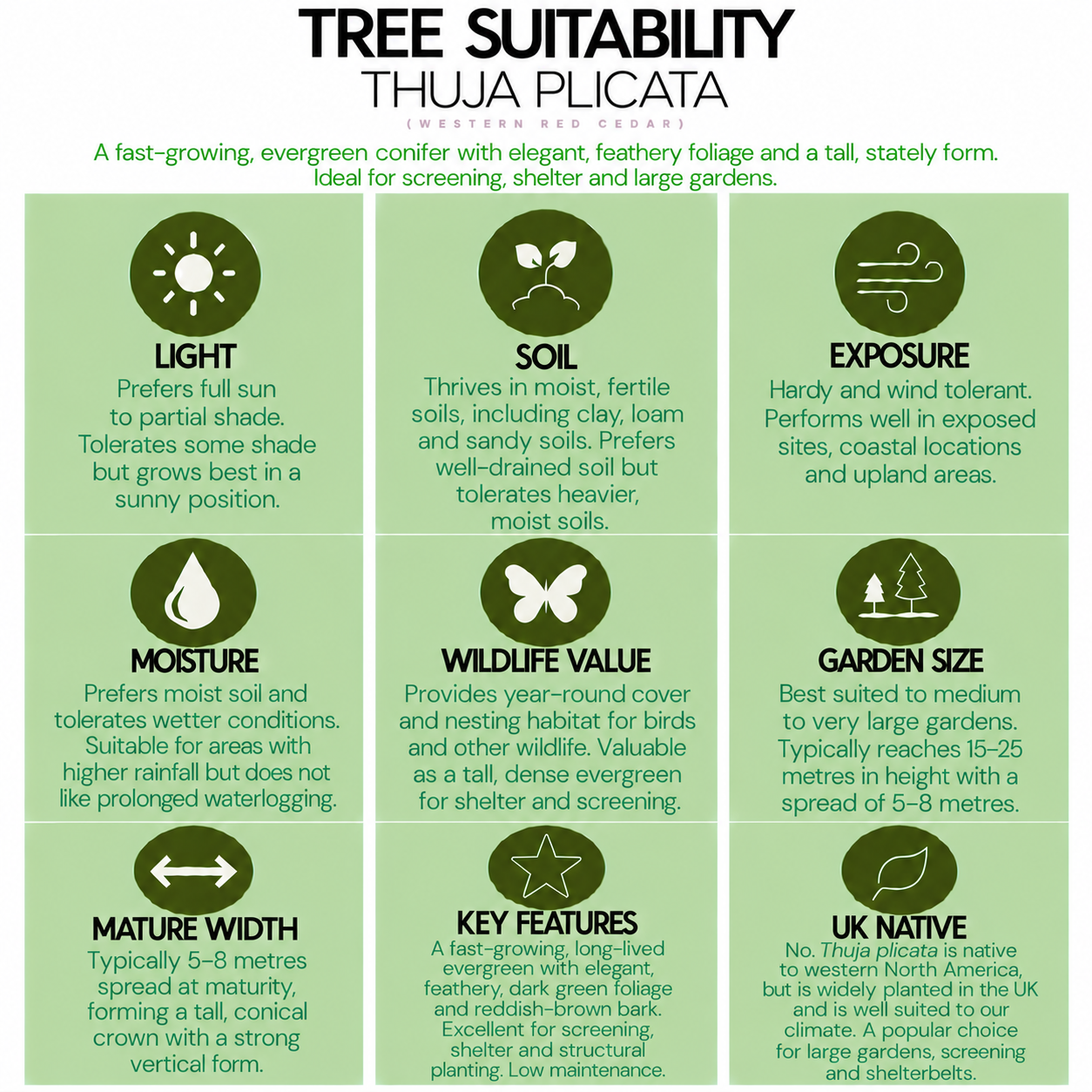 tree-suitability-guide-thuja-plicata.png