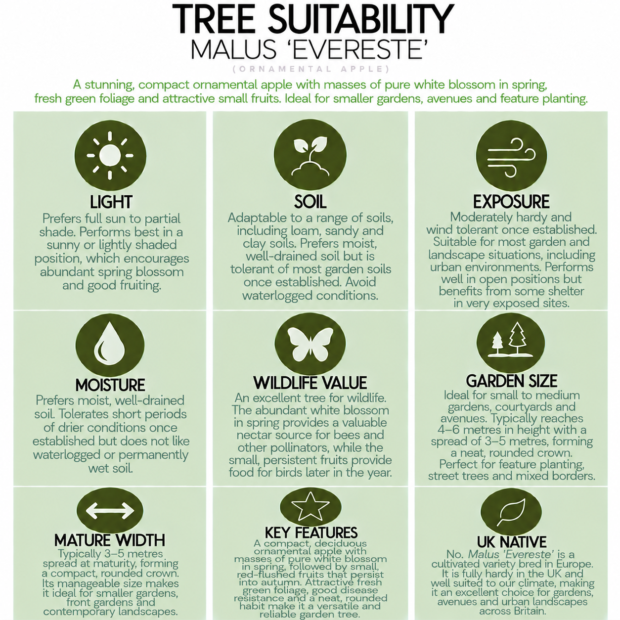 tree-suitability-guide-malus-evereste.png