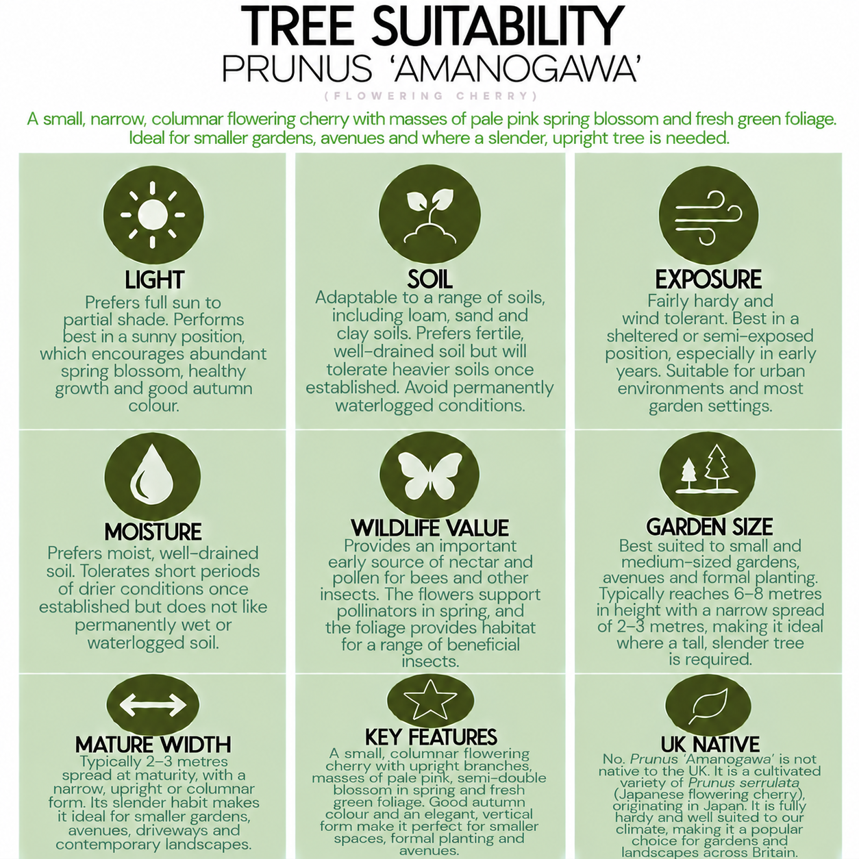 tree-suitability-guide-prunus-amanogawa.png