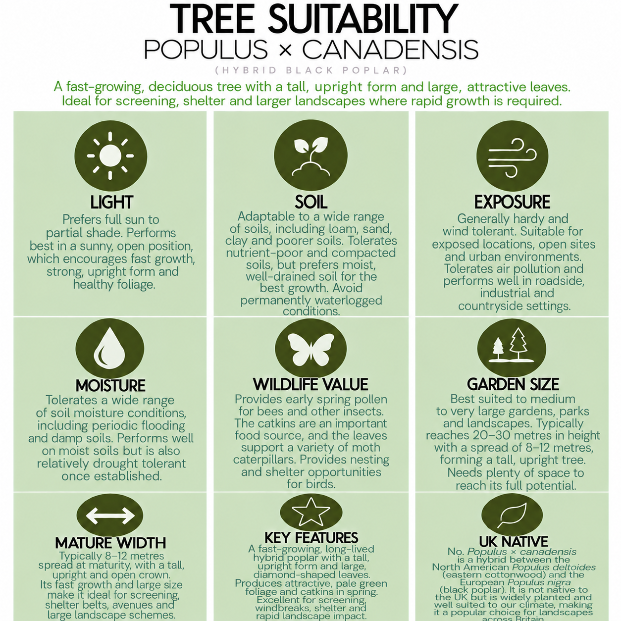 tree-suitability-guide-populus-x-canadensis.png