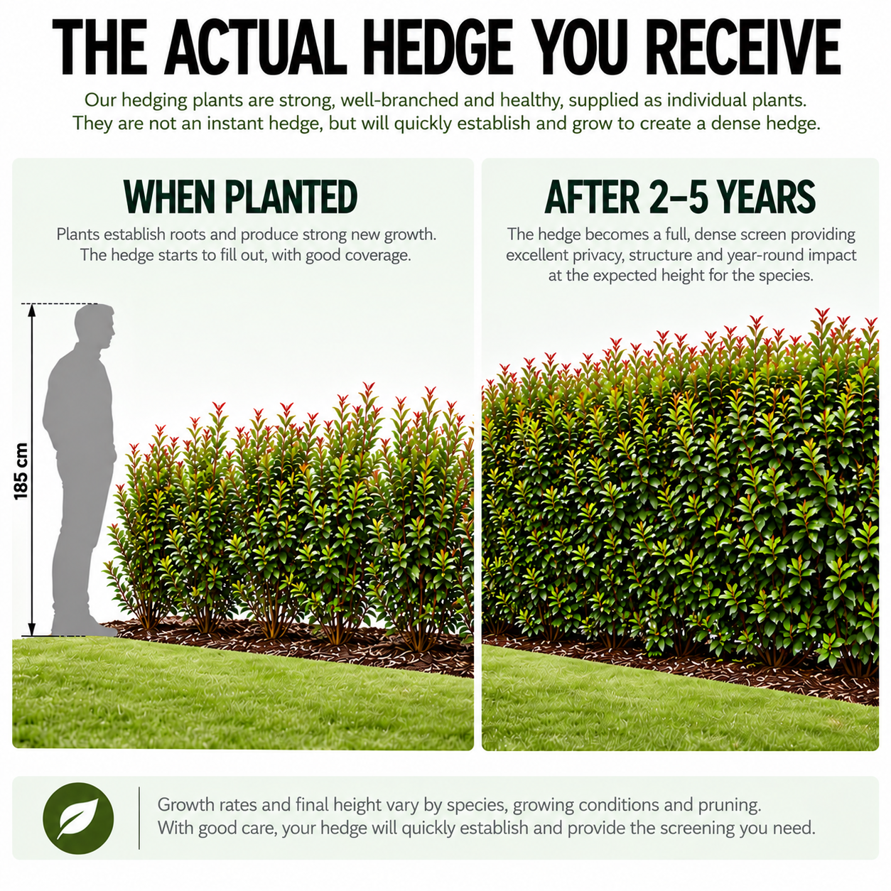 the-actual-hedge-you-receive.png