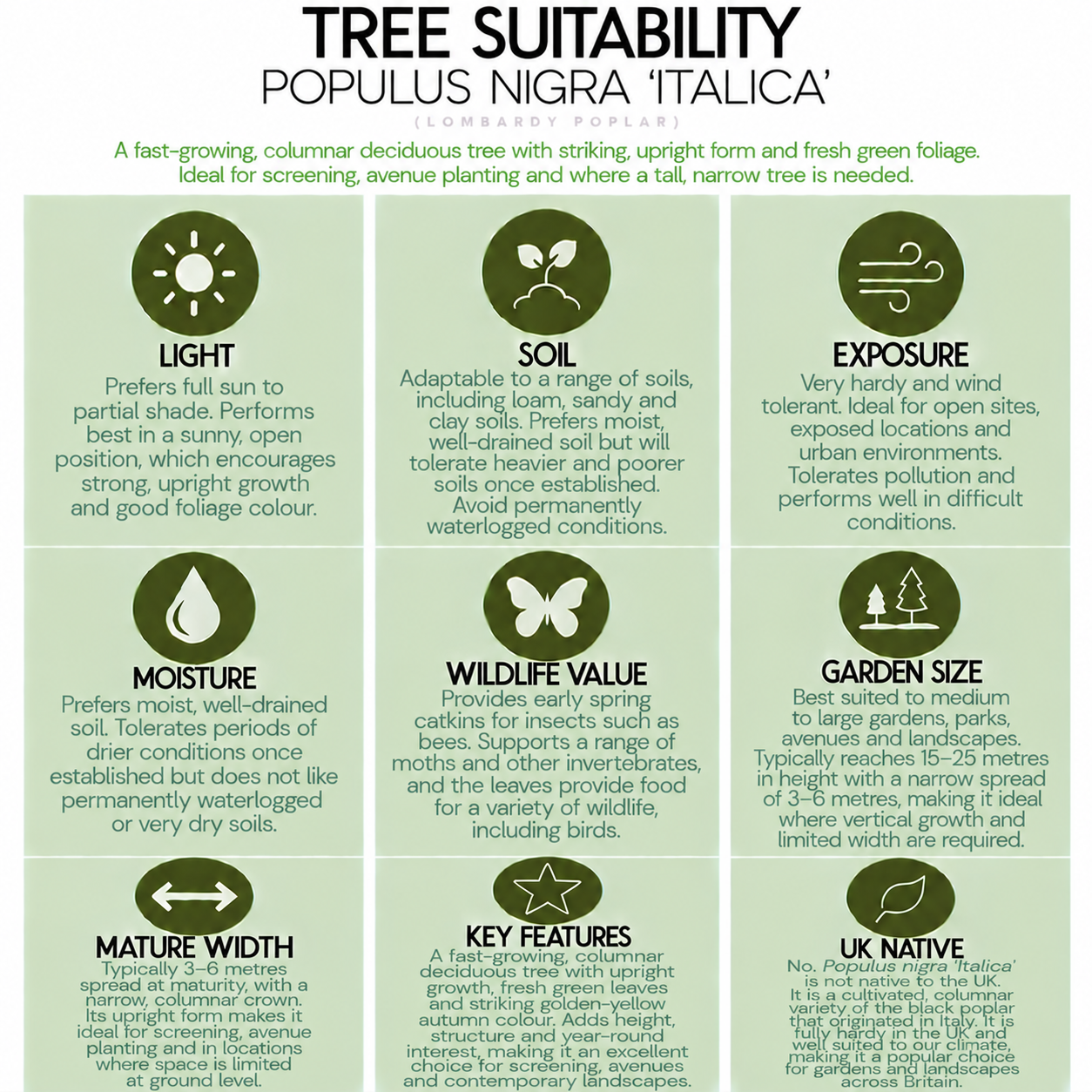 tree-suitability-guide-populus-nigra-italica.png