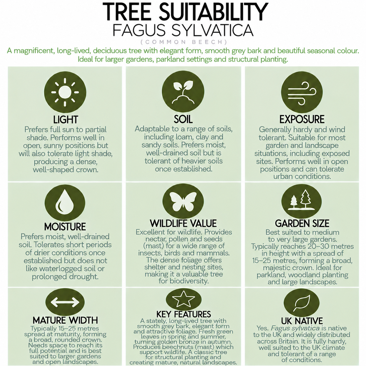 tree-suitability-guide-fagus-sylvatica.png