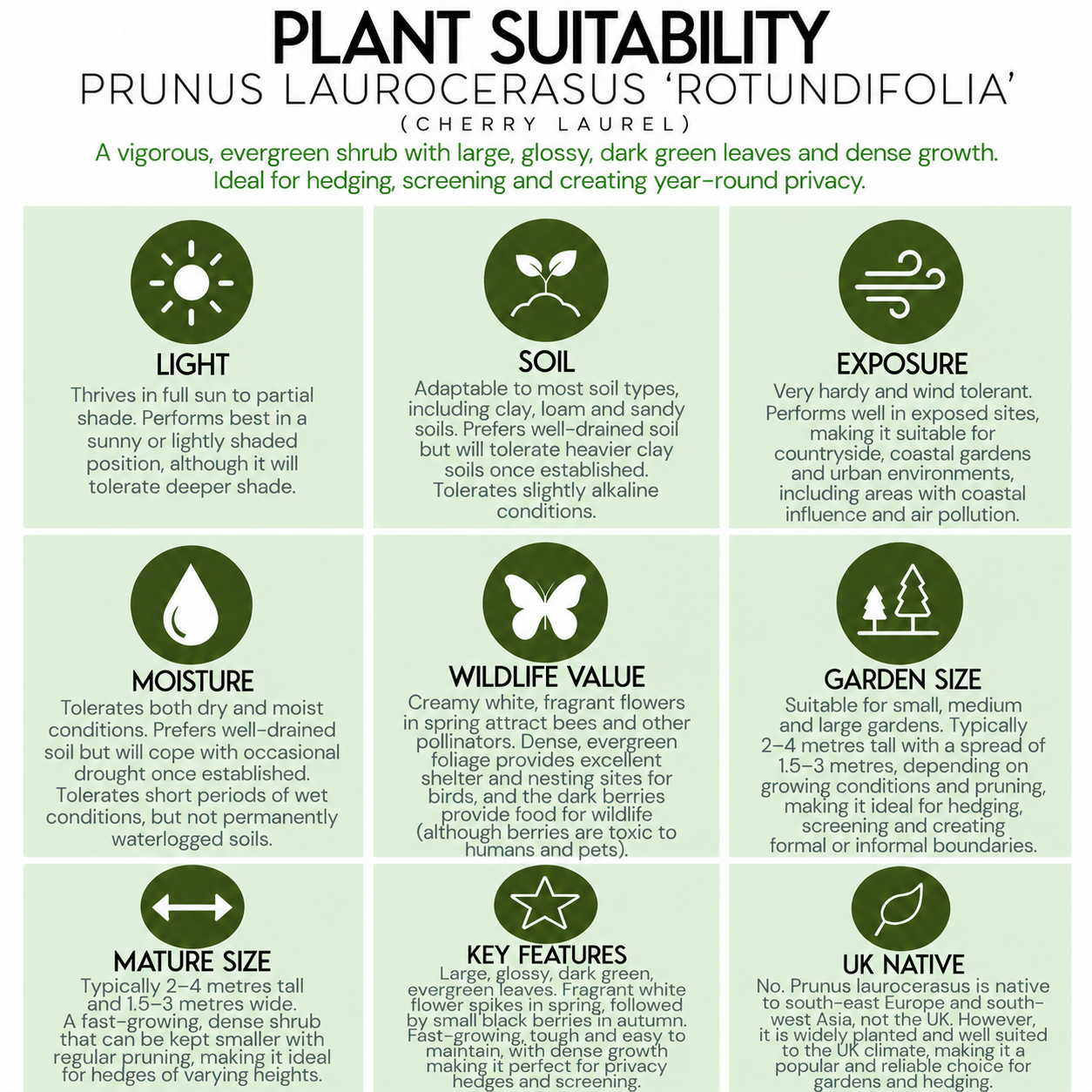 tree-suitability-guide-prunus-laurocerasus-rotundifolia .png